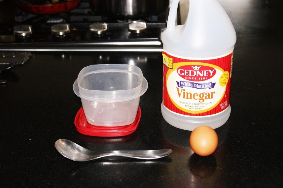 Egg-cellent science to try at home