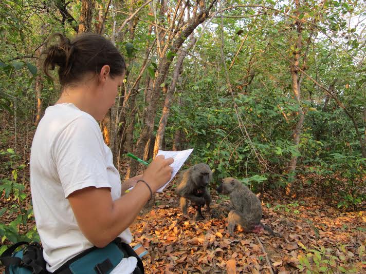 Upper School science teacher Andrea Bailey studies baboons in Gombe National Park.