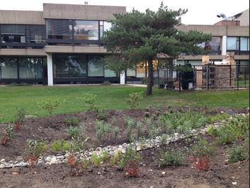 After months of planning, the rain garden is finally in place, ready to fight pollution. “That hole usually gets a lot of gross, muddy water after it rains or if snow is melting. So it will be good there, because it will get the excess water, junior Ora Hammel said.