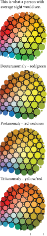 Color blindness both impairs and empowers: it’s all perspective