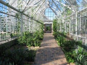 The Walker Art Museum's conservatory is free to everyone. “In the winter time it's especially nice to spend some time in the conservatory they have next to the sculpture garden,” junior and member of the Walker Art Center Teen Art Council, Ingrid Topp-Johnson said.