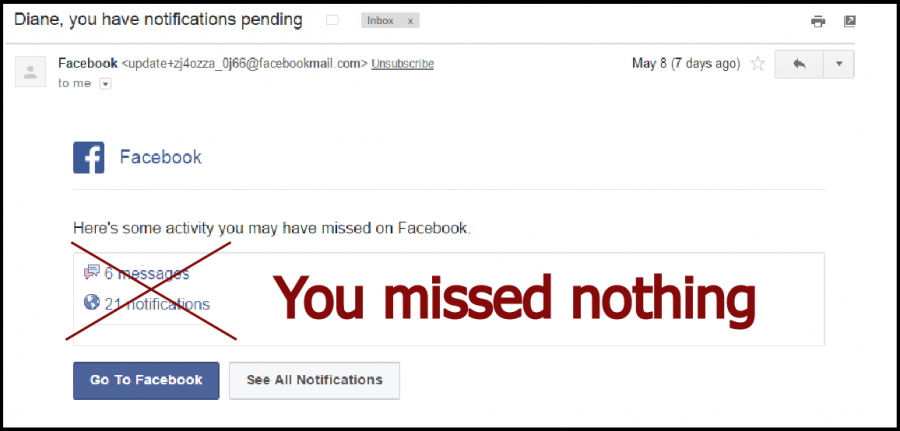 The RubicOnline Editor in Chief Diane Huang went without Facebook for a week. 