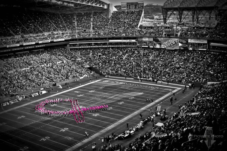 THE NFL spends million of dollars to advertise breast cancer awareness, rather than spending the money to find a solution.