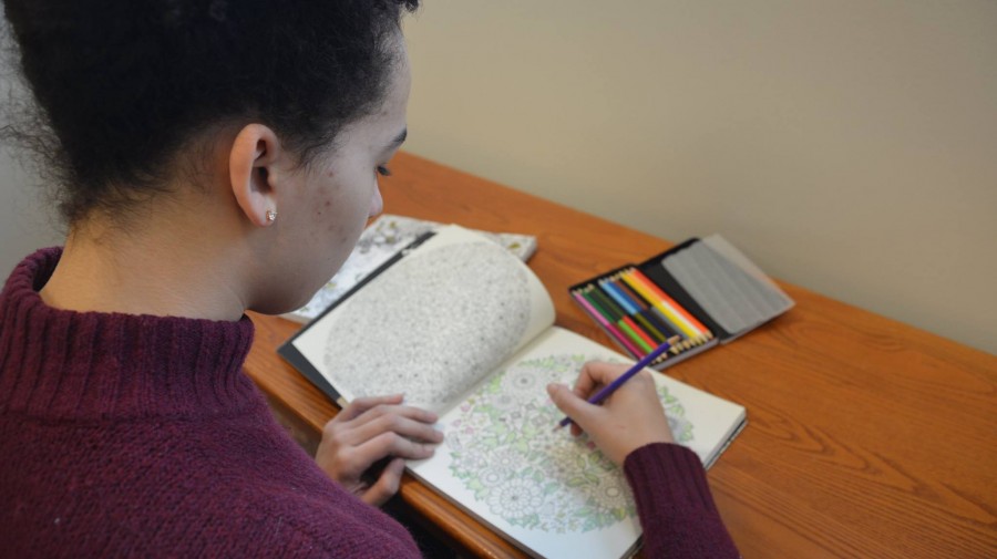 Sophomore Izzy Denny  colors in a page of her book Secret Gardens. "It's really relaxing and mindless, but it's so satisfying when you're done," Denny said.