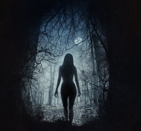 The February released movie has already surprised many and has brought in sixteen times more money from the opening weeks than the movie's original budget.