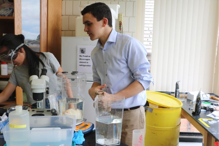 JUNIORS RAFFI TOGHRAMADJIAN AND DIANE HUANG weigh one of their tilapia from their aquaponics system. “I don’t think SPA itself should have an aquaponic system, but maybe the catering company could look into buying some of its produce from aquaponic farms,” Toghramadjian suggested. 