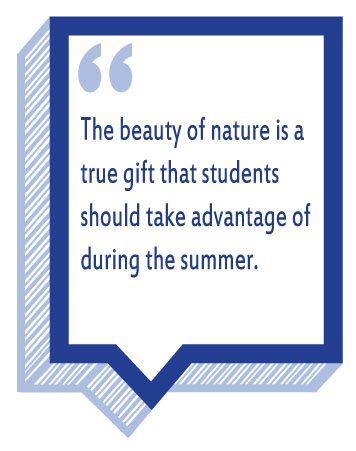 Summer camps allow students to retreat into nature and build new friendships