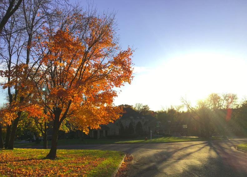 Minnesotans are fortunate to have these seasonal bursts of color, but it seems that many people, especially teenagers, take this for granted and fail to stop for even a minute to admire the natural beauty of autumn. Taking a short break from the stress of schoolwork to go outside for a fall stroll around the neighborhood has many benefits.