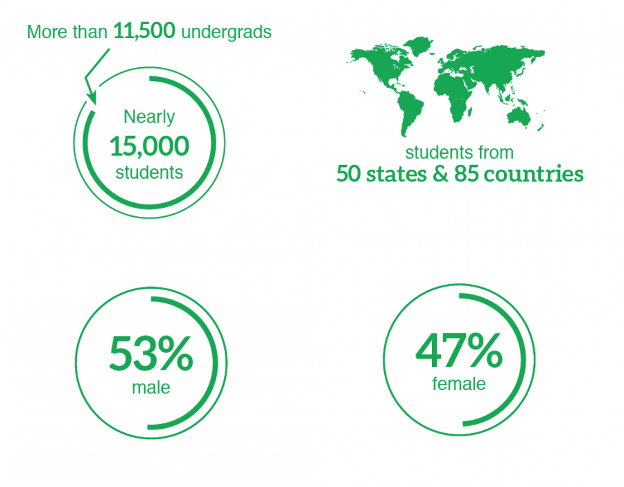 On the "Discover UND" page of their website, the university includes gender but not racial breakdown of their student population.