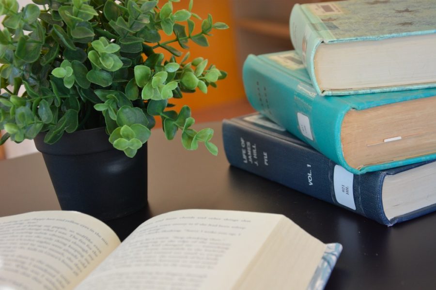 Fantasy and mythology seem to be the books that capture most readers' attention, but sophomore Anna Perleberg chose a piece of realistic fiction, The Boy in the Striped Pajamas:  "It really hit me hard because I'm Jewish myself and knowing that people went through things like that is just really heartbreaking," she said.