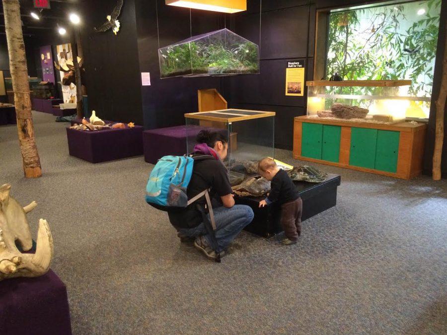 The touch and feel room at the Bell Museum of Natural History is perhaps the most interesting, especially for young children.
