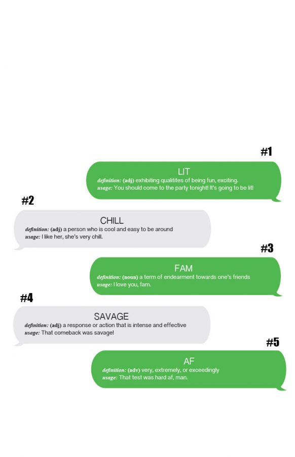 LIT AF FAM. Common slang terms used by students ranked in order from most frequently used to least frequently used according to a poll of 11% of the student body. With every passing month, new terms or acronyms make their way around via messages, Tumblr, Twitter, Instagram, and day-to-day conversations. 
Infographic: Mari Knudson and Iya Abdulkarim