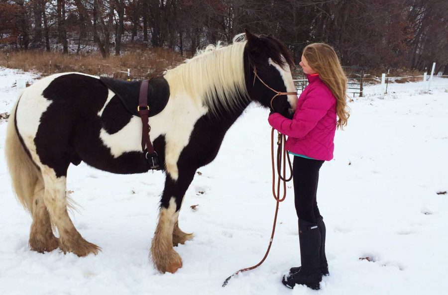 Sophomore Isabel Dieperink combines her love of horses while volunteering at Lakeview Farm to teach children with anxiety or with an intellectual disability the joy of riding horses. I decided to apprentice with my horse trainer before I was volunteering so it was helpful to me to see and really be able to work with horses thoroughly to be able to understand their signals, and I could help teach the kids how to recognize that too, Dieperink said.