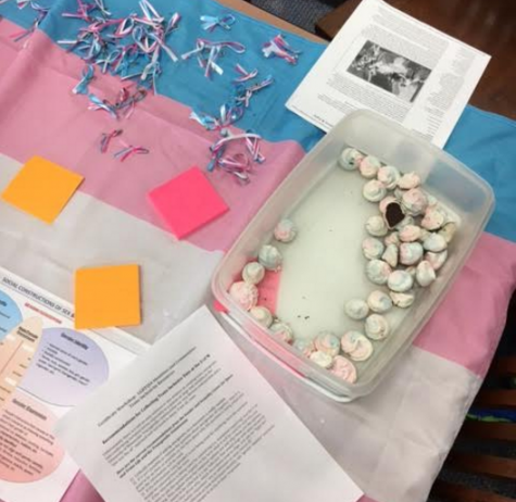 Transgender day of visibility spotlights hate, spreads love