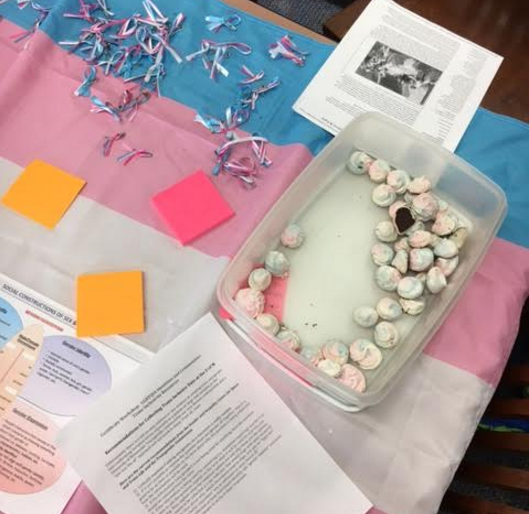 GSAs table is covered in the transgender colors, pink blue and white, from the table clothe to the snack. 
