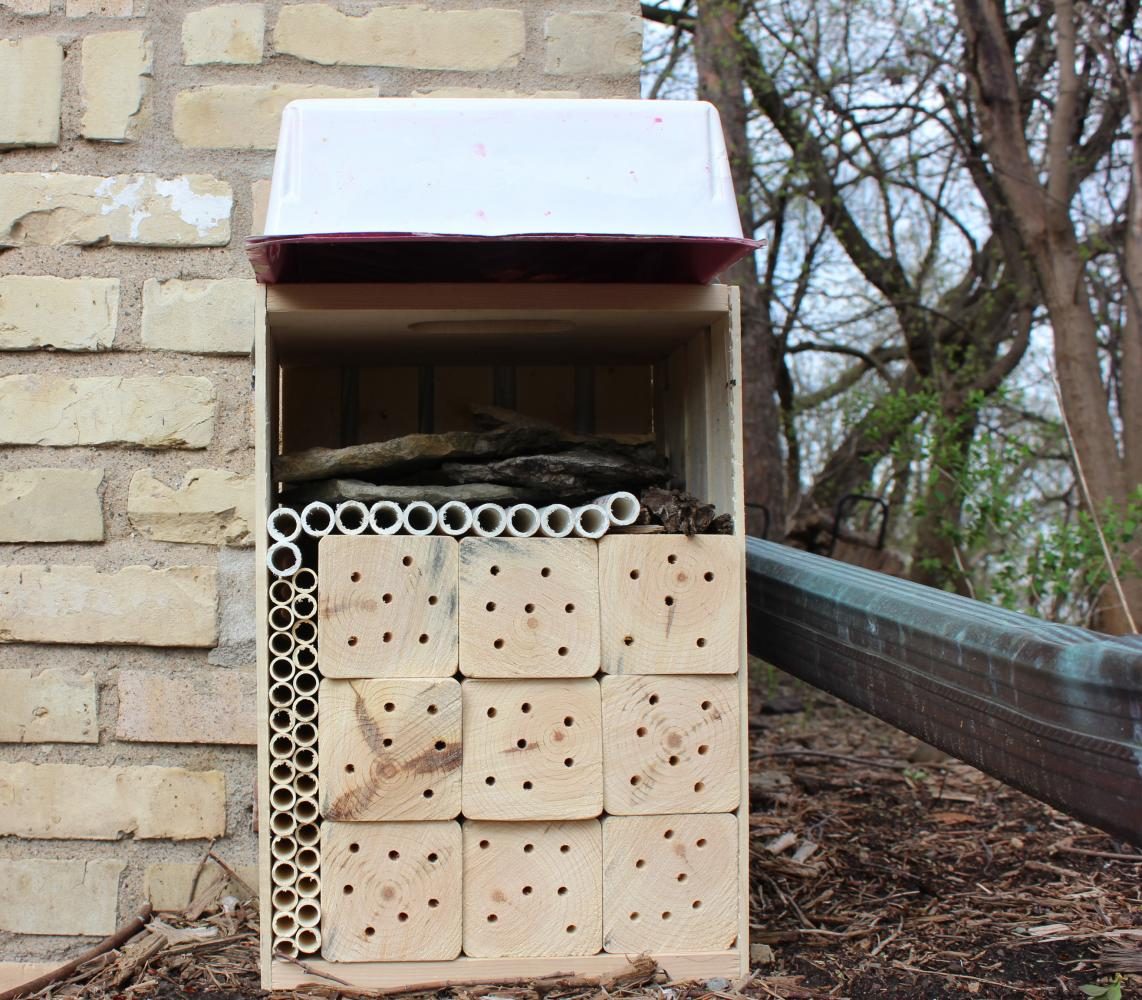 STEP 6: MAINTAIN IT. Bee hotels require maintenance or they will become unusable or overridden with pests. Check occasionally to see if pests have invaded the hotel; use online resources for further information on what these invaders look like and how to get rid of them. Also, make sure to replace any tubes or materials which have become rotten or moldy with new ones from time to time.  