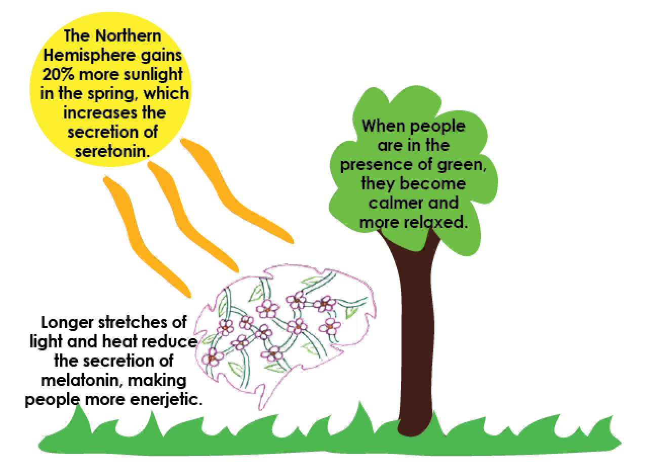 CHEMISTRY.+When+spring+arrives%2C+the+warmth+of+the+sun+decreases+melatonin+making+people+more+active%2C+and+the+presence+of+green+makes+people+feel+relaxed.