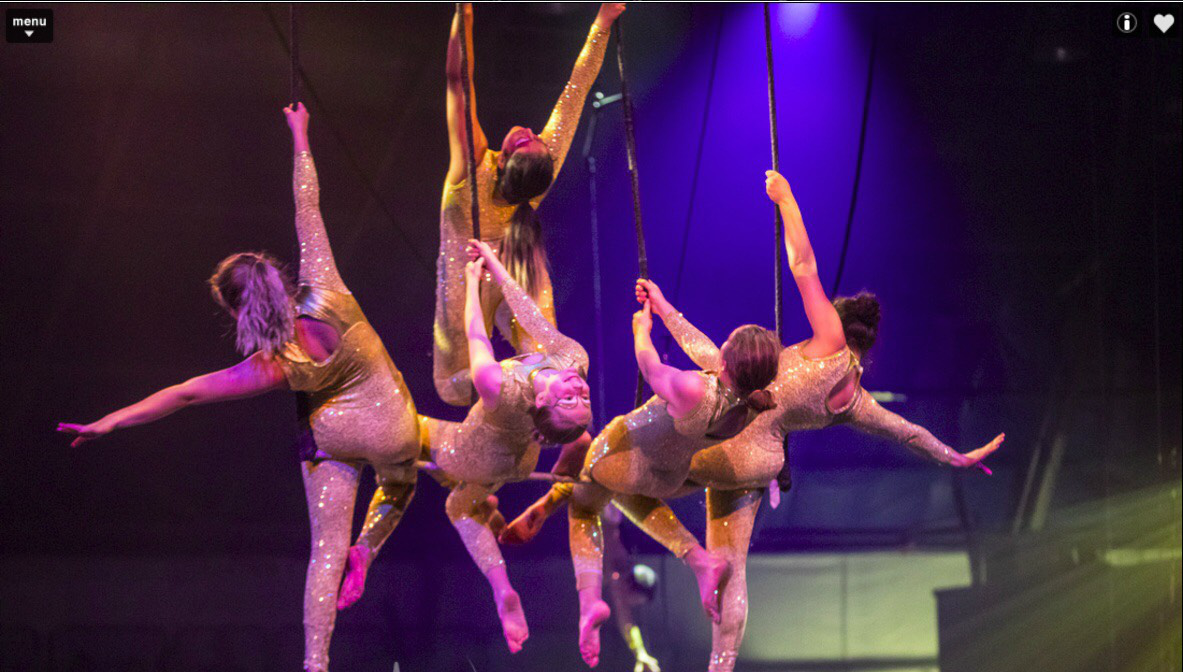 Tadavarthy and other members of the static trapeze perform on a bar at Circus Juventas. 