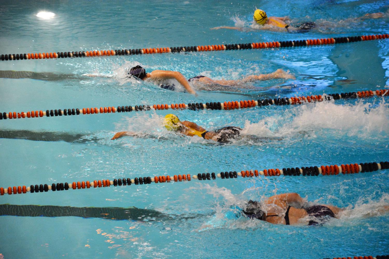 SPLASH. Captain Abby Lanz dives backwards into the
pool during a recent competition at Humboldt High School. “The girls diving team is really small, and since it’s such a small group we’re really tight knit, and we’re all very close. As a team, we want to get 11 dive lists, which is when you are able to do two dives from each of the ve categories: forwards, backs, reverses, inwards, and twists, and a third dive from one of the categories to add up to 11 dives in total,” Lanz said.