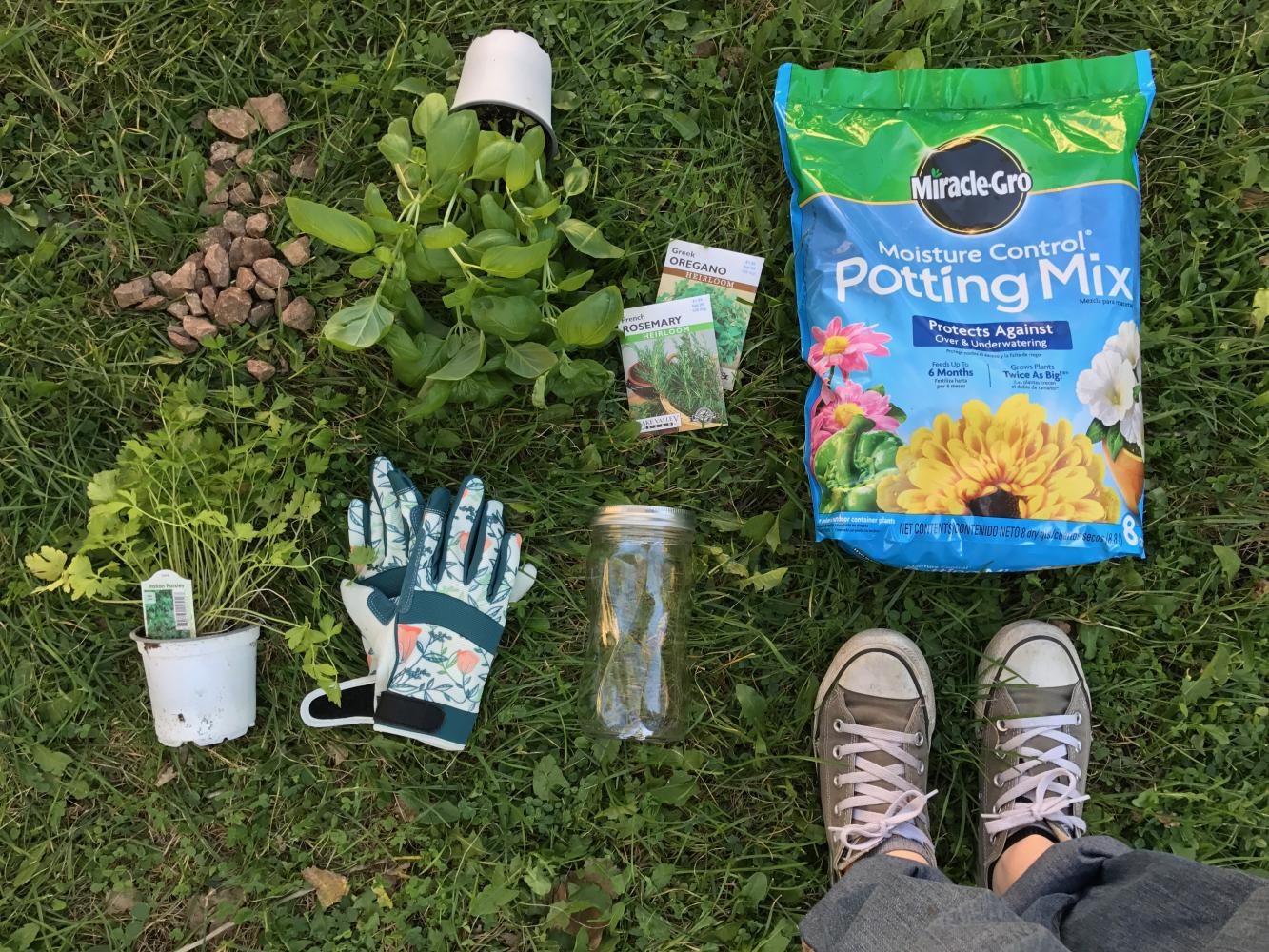 Preserve summer flavors with DIY mason jar garden