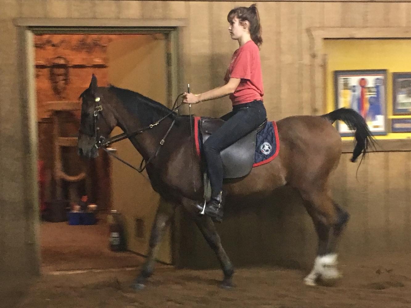 SADDLED UP. Soph,ore horse racer Alessandra Costalonga rides around on her horse. Ive always loved horses since I was little, Costalonga said. 