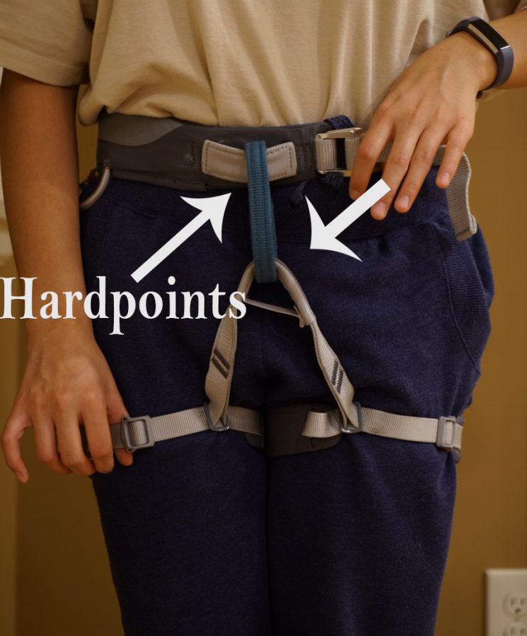 Thread the rope through the hard points of the harness. 
