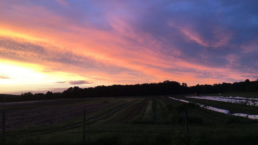 The bold colors of the setting sun are caused by the interaction of light waves with air and pollutant particles. Clear winter air increases the colors' brightness, which is why the recent dawns and dusks have been particularly radiant. 