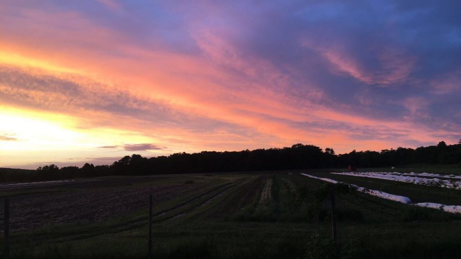 The bold colors of the setting sun are caused by the interaction of light waves with air and pollutant particles. Clear winter air increases the colors brightness, which is why the recent dawns and dusks have been particularly radiant. 