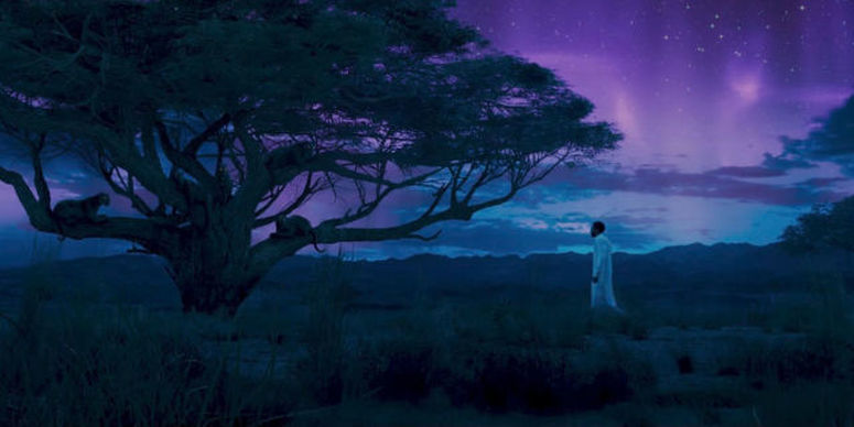 Photo from "Black Panther" trailer