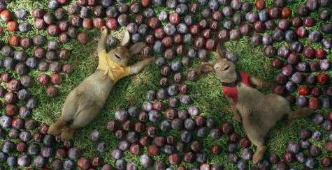 Eventually it seems like the audience would grow tired of spending a good part of the film watching a rabbit outsmart a man. On the contrary, the acting from the leads grabbed your attention and the scenes between just Bea and Peter and likewise, Bea and McGregor, were well acted and really shined light on a connection between the characters.
