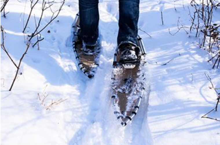 Skis and snowshoes can be rented at the chalet at Theodore Wirth Park for a nominal fee.