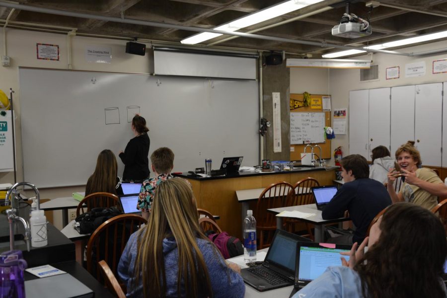 US Chemistry teaccher Mallory Schmidt draws and identifies parts of a Galvanic Cell for the students.