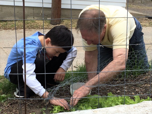 From 2015: Nikolas Liepins plants vegetables in a garden with his grandfather. "There's a whole world of interconnectivity between plants," Liepins said.