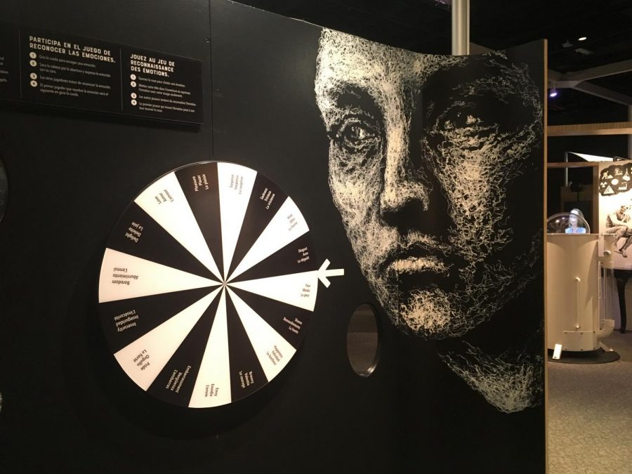 Interactive games about expression and emotion make Mind Matters a family friendly exhibit.