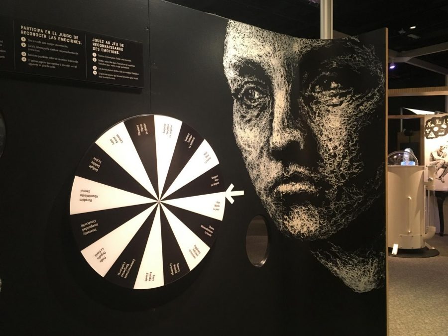 Interactive games about expression and emotion make "Mind Matters" a family friendly exhibit.
