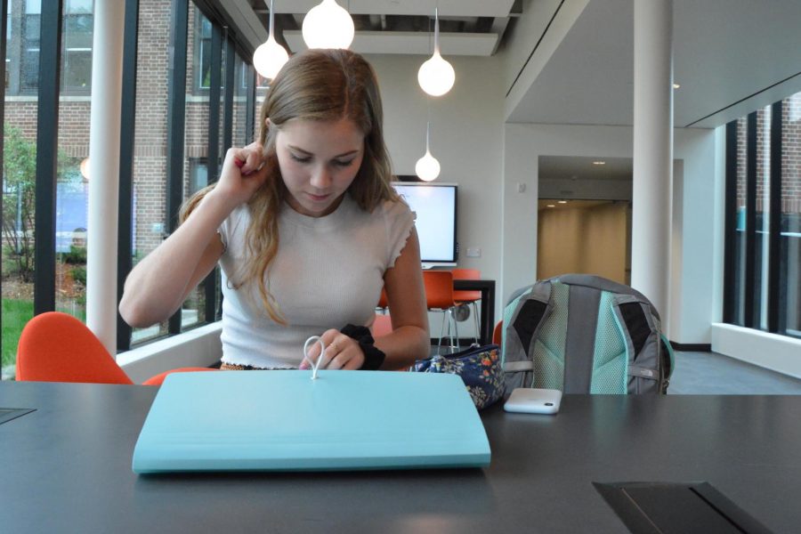 The Schilling Center features a much more unique and modern architectural style, which senior Jennie Verhey likes. I like the open spaces and the modern architecture, Verhey said. 