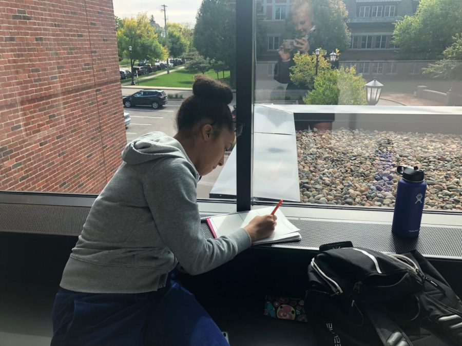 I like working on the second floor of Schilling by the windows, junior Arie Walker said. It is really nice to be surrounded by so much light and warmth from the outdoors.