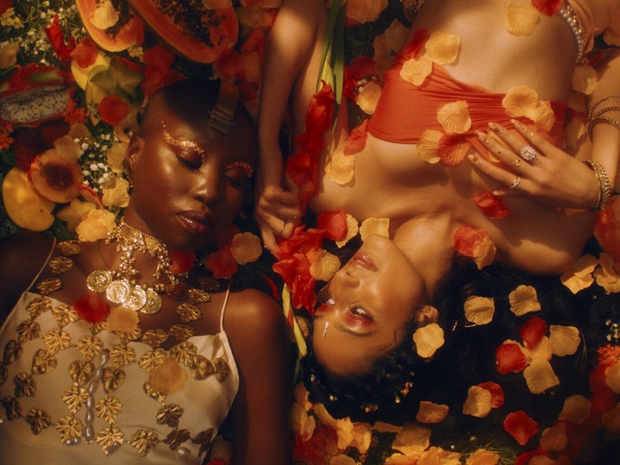 In Raveena Auroras Temptation music video, Aurora and Giannina Oteto lie on flower petals in a stunning visual metaphor for their love.