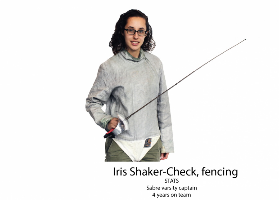 Iris Shaker-Check: Fencing