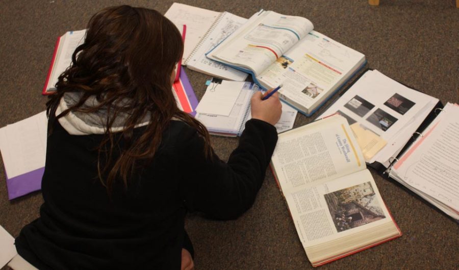 Anna Gaudio studying for exams. 
Photo Credits: Kendra Christ