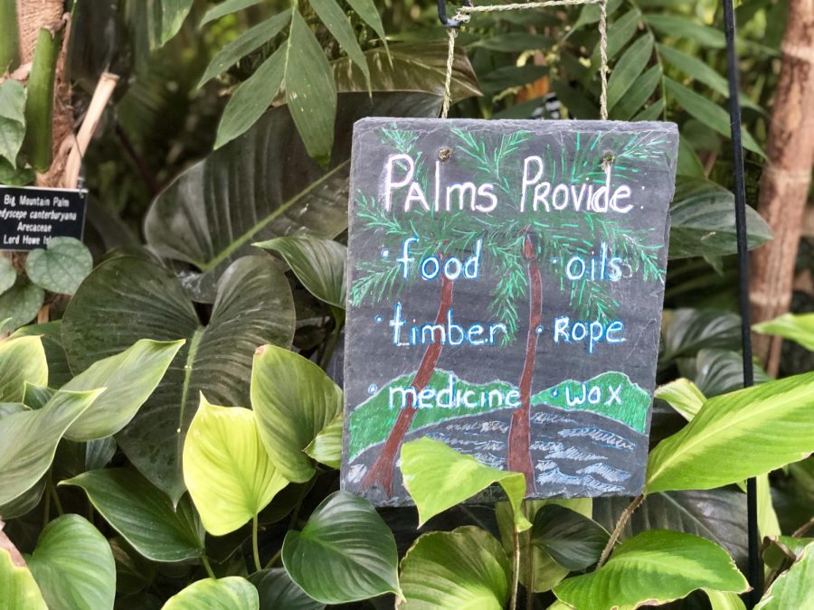 Some little known scientific facts on display in the Como Park Conservatory. 