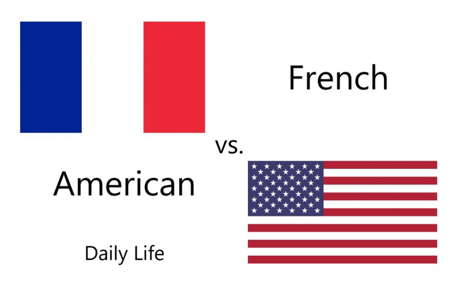 [ILLUSTRATED INTERVIEW] A look into French vs. American daily lives