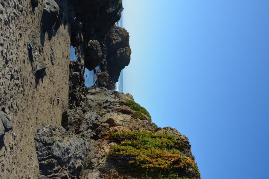 Fort Bragg, California. Tide Pools