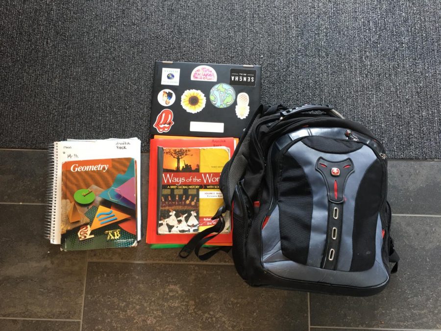 Sophomore Annika Rock carries 19 pounds in her backpack. She carries her laptop, textbooks, and multiple folders for different classes. Rock thinks that new lockers should be put into the recently renovated Thompson wing, as lockers were there prior to the revamp of the wing.