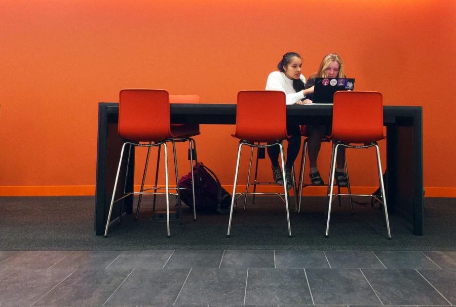 9th graders, Ganga Corsaro and Sophie Cullen work in a new study area in the Thompson Wing.