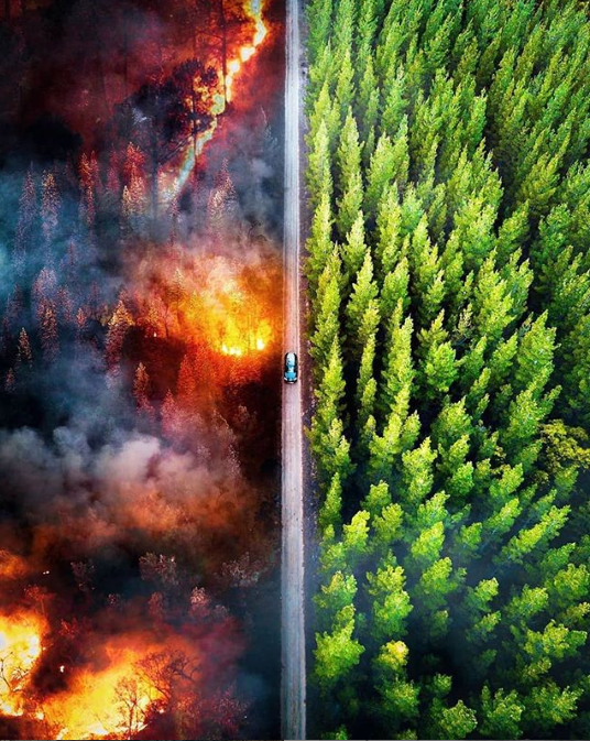 Fires blaze through the Amazon Rain Forest, causing disaster to the habitats within.