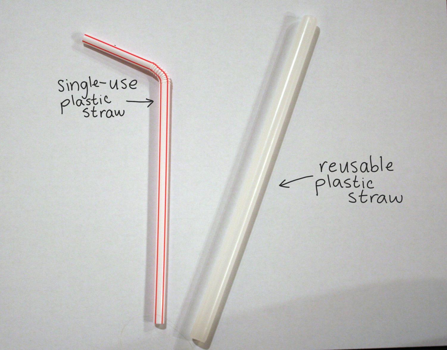 Bought reusable metal straws to reduce single-use plastic waste