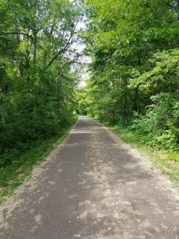 In hopes to get more people to go outside on Black Friday, the DNR began Free Park Friday in 2015.