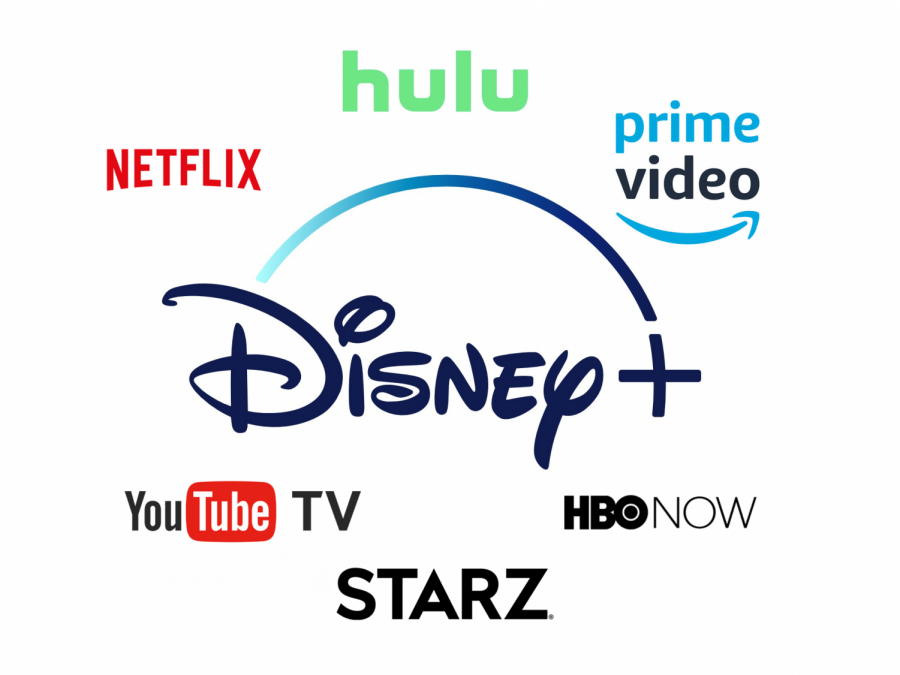 Disney+ is simply another option in a rapidly-expanding pool of streaming services.
Image from "Disney+ contributes to streaming service problem."
