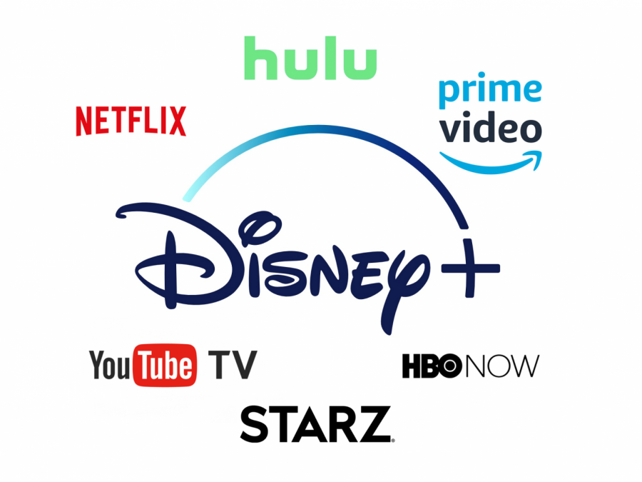 Disney+ is simply another option in a rapidly-expanding pool of streaming services.
Image from Disney+ contributes to streaming service problem.